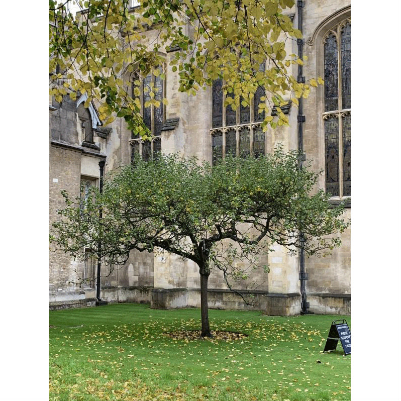 姚霽月應(yīng)邀赴英國參加《讀懂英國》國際會議